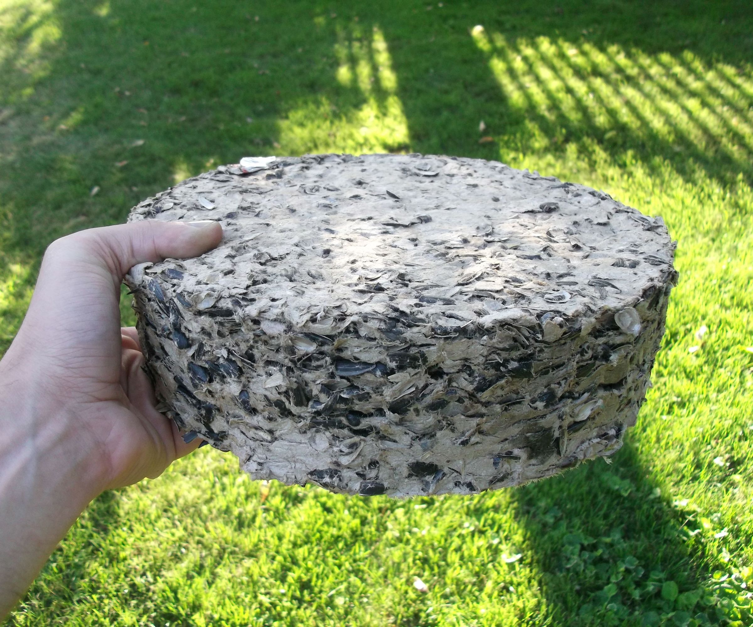 Paper + Sunflower Seed Husk Fuel Briquettes