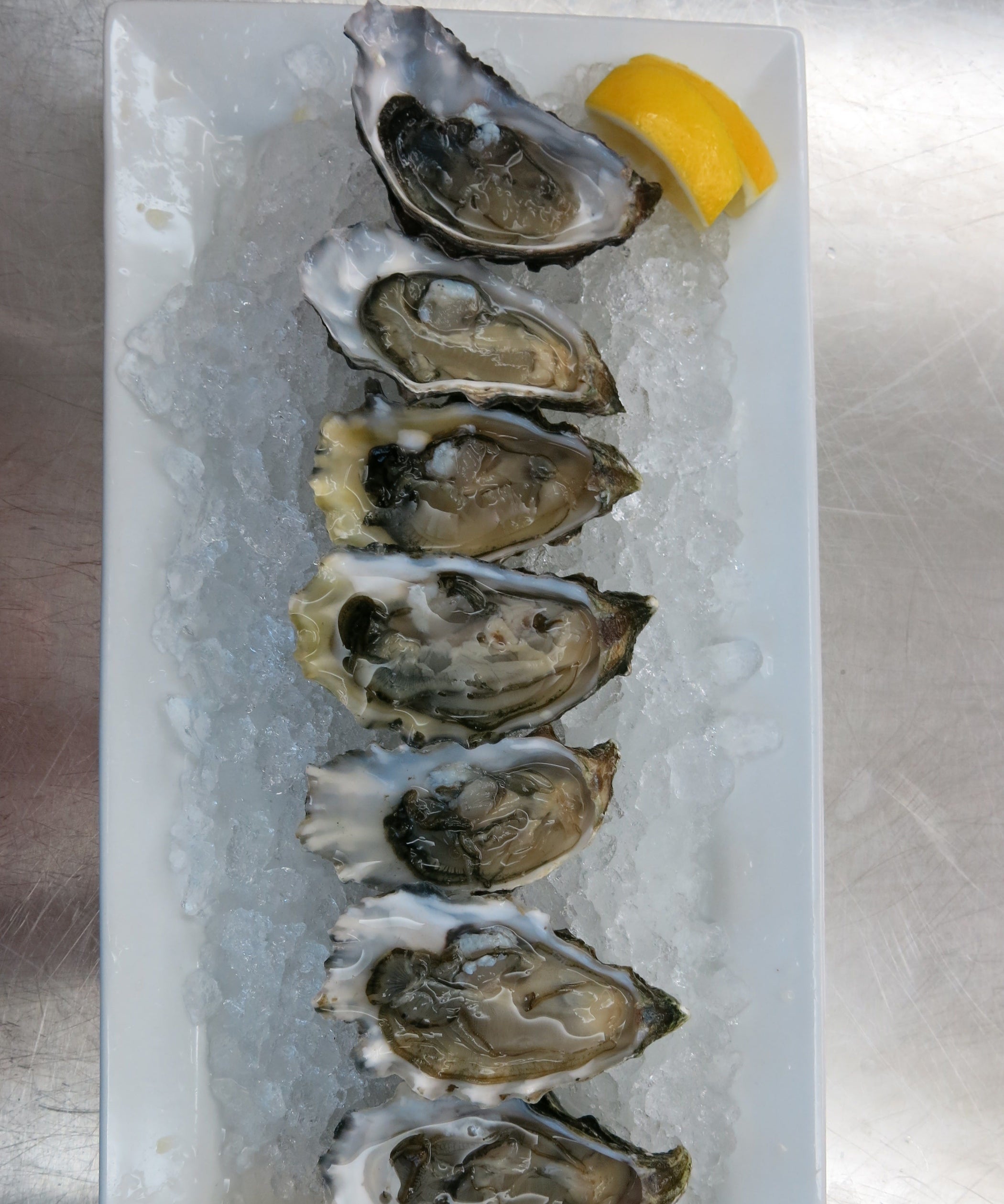 How to Open Oysters 4 Steps (with Pictures) Instructables