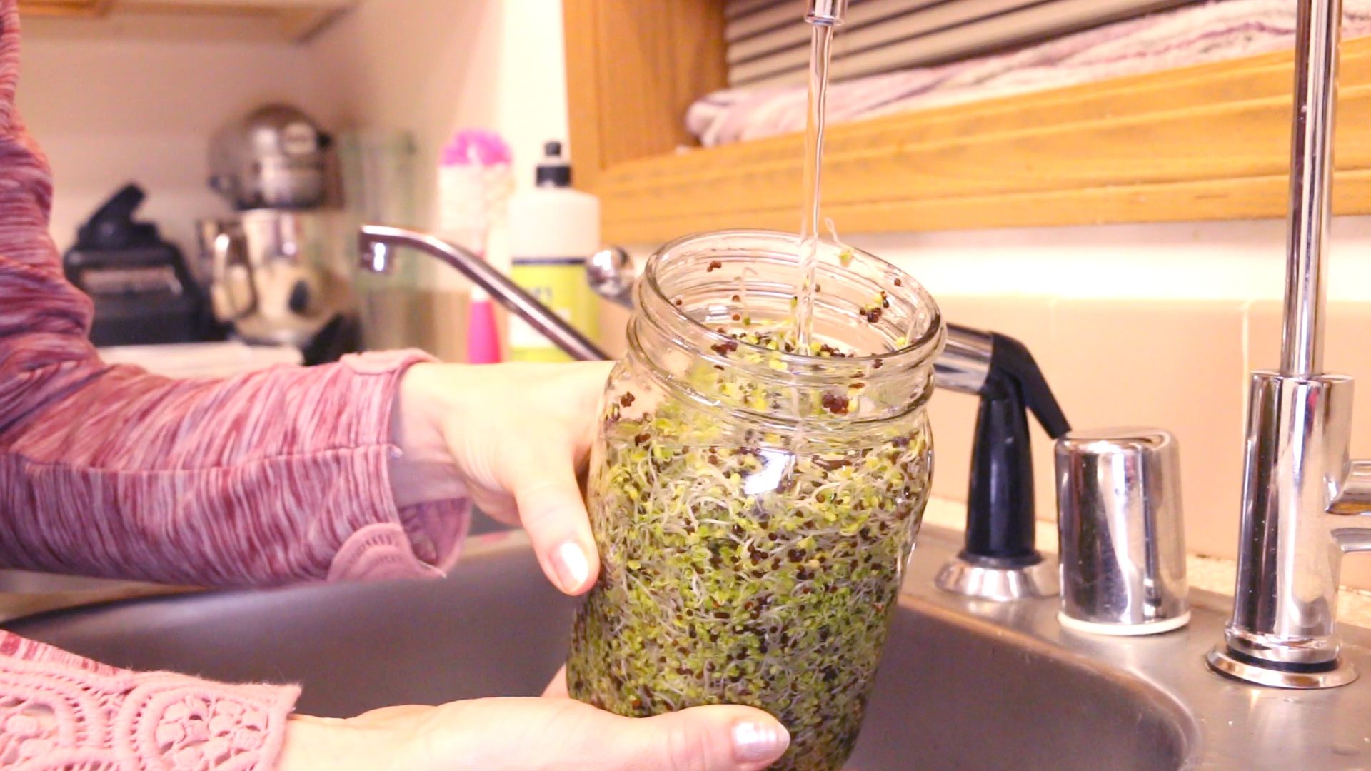How to Grow Broccoli Sprouts in a Jar 6 Steps (with Pictures