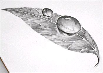 Easy 3d Art Pencil Drawing How To Draw 3d Dew Drop On Leaf 5 Steps With Pictures Instructables
