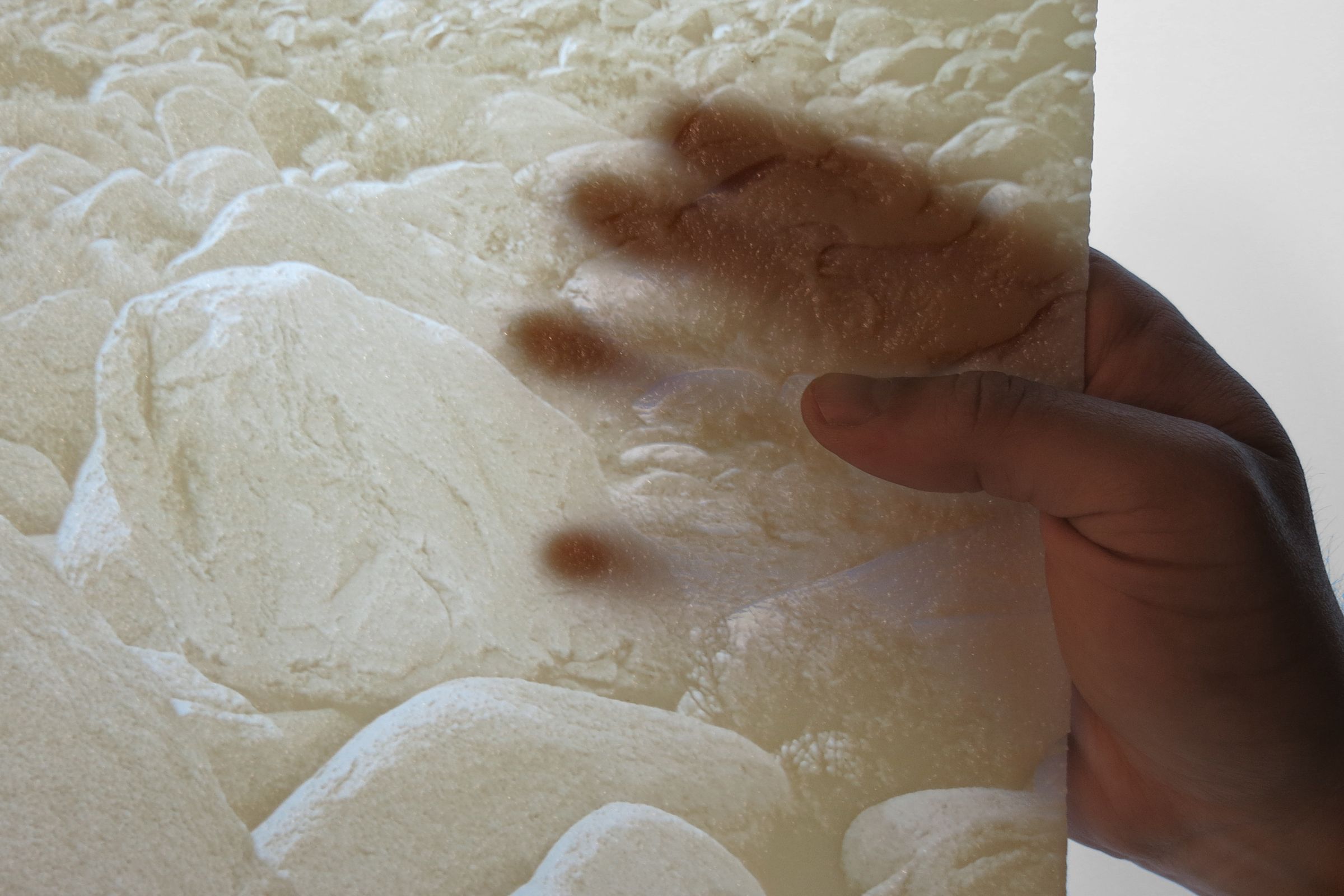 DIY guide for 3D Printed Photograph with step-by-step instructions