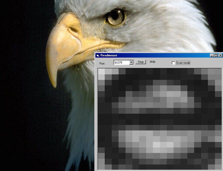 Mouse Cam : 9 Steps (with Pictures) - Instructables