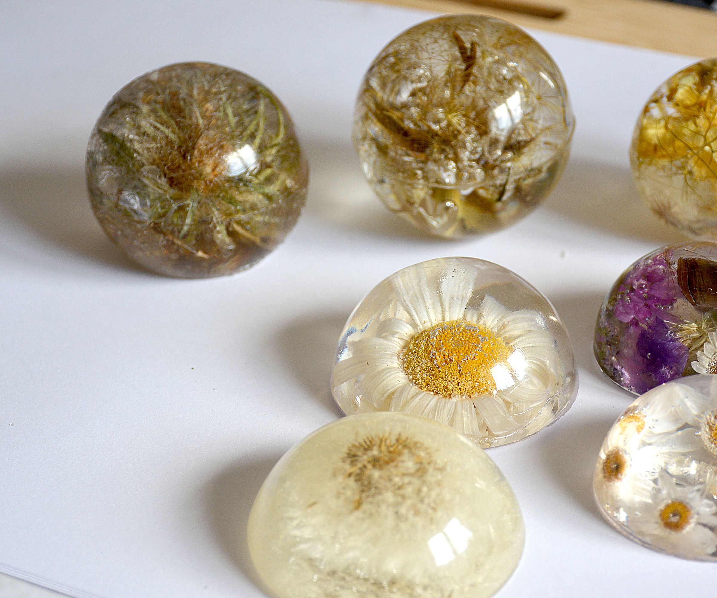 botanical paper weight souveniers DIY Project DIY Project Image