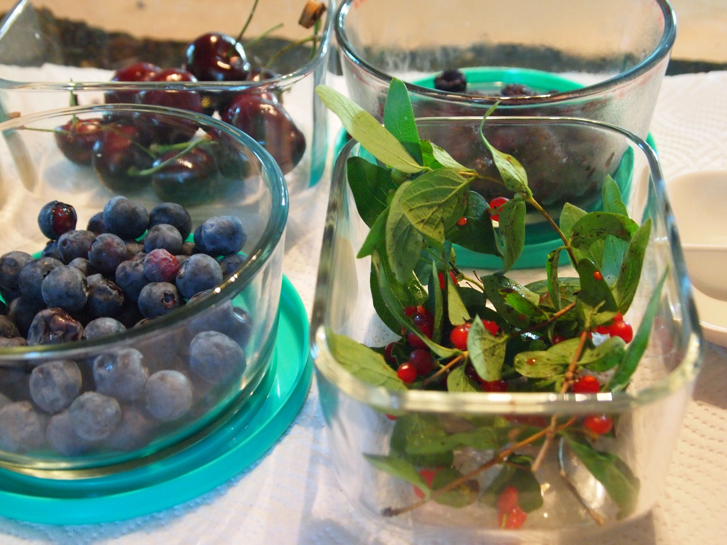 Paint Made From Berries & Nature 4 Steps (with Pictures) Instructables