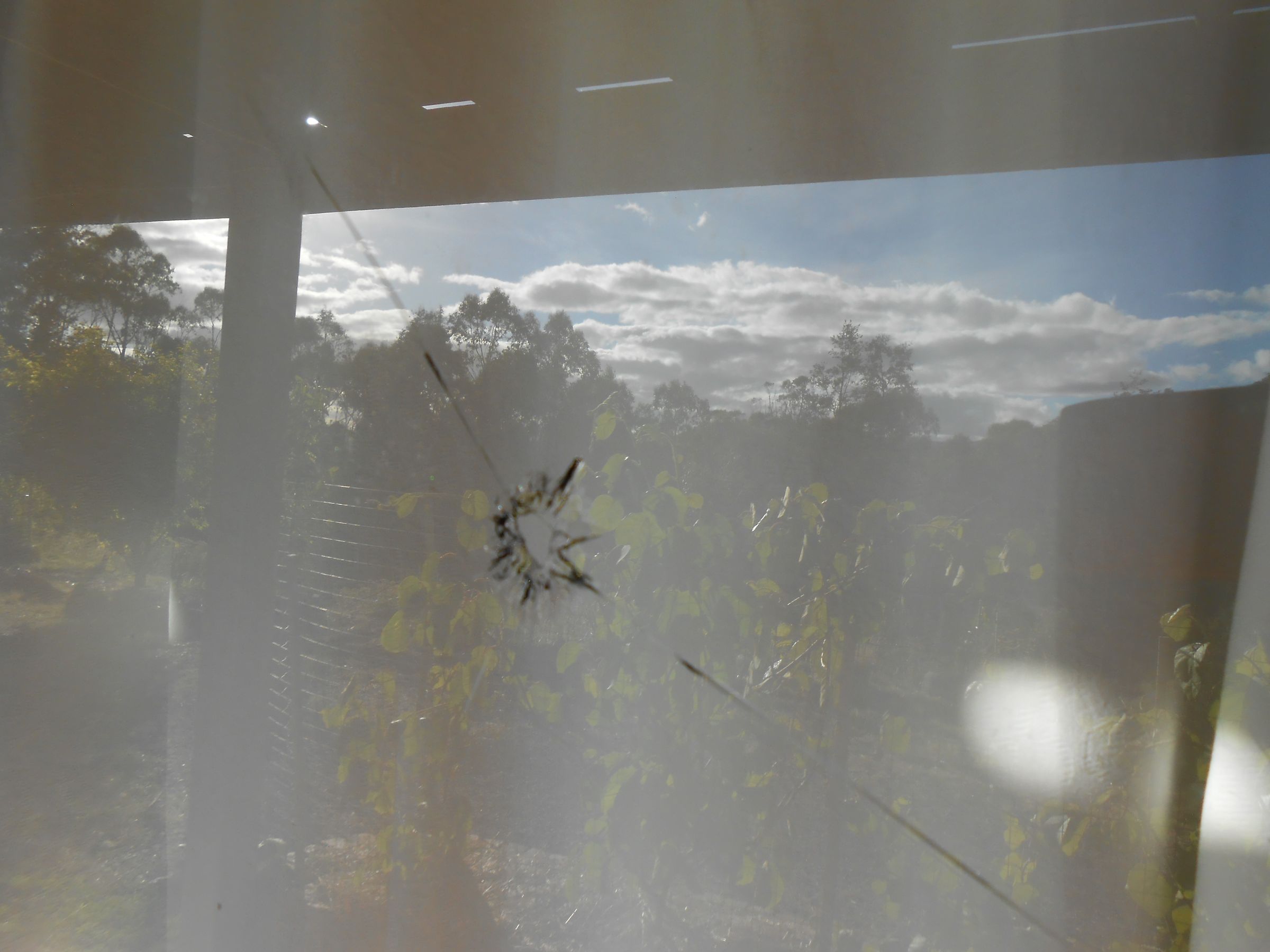 How to Replace the Glass in a Wood Frame Window. 3 Steps (with