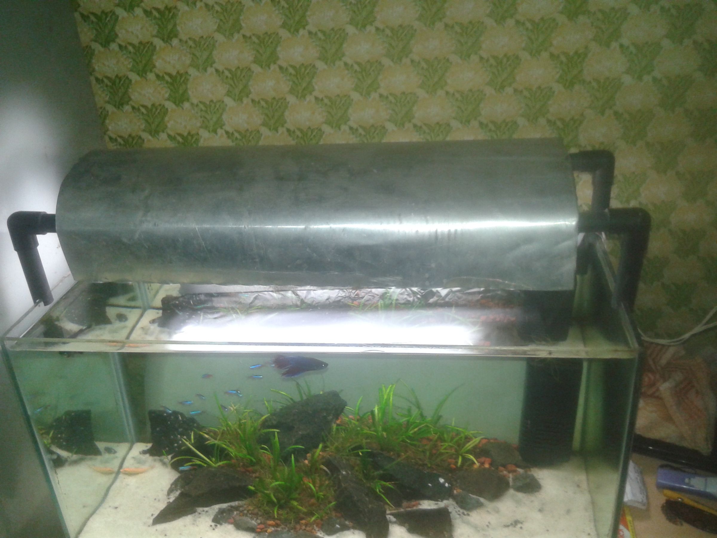 fish bowl light fitting