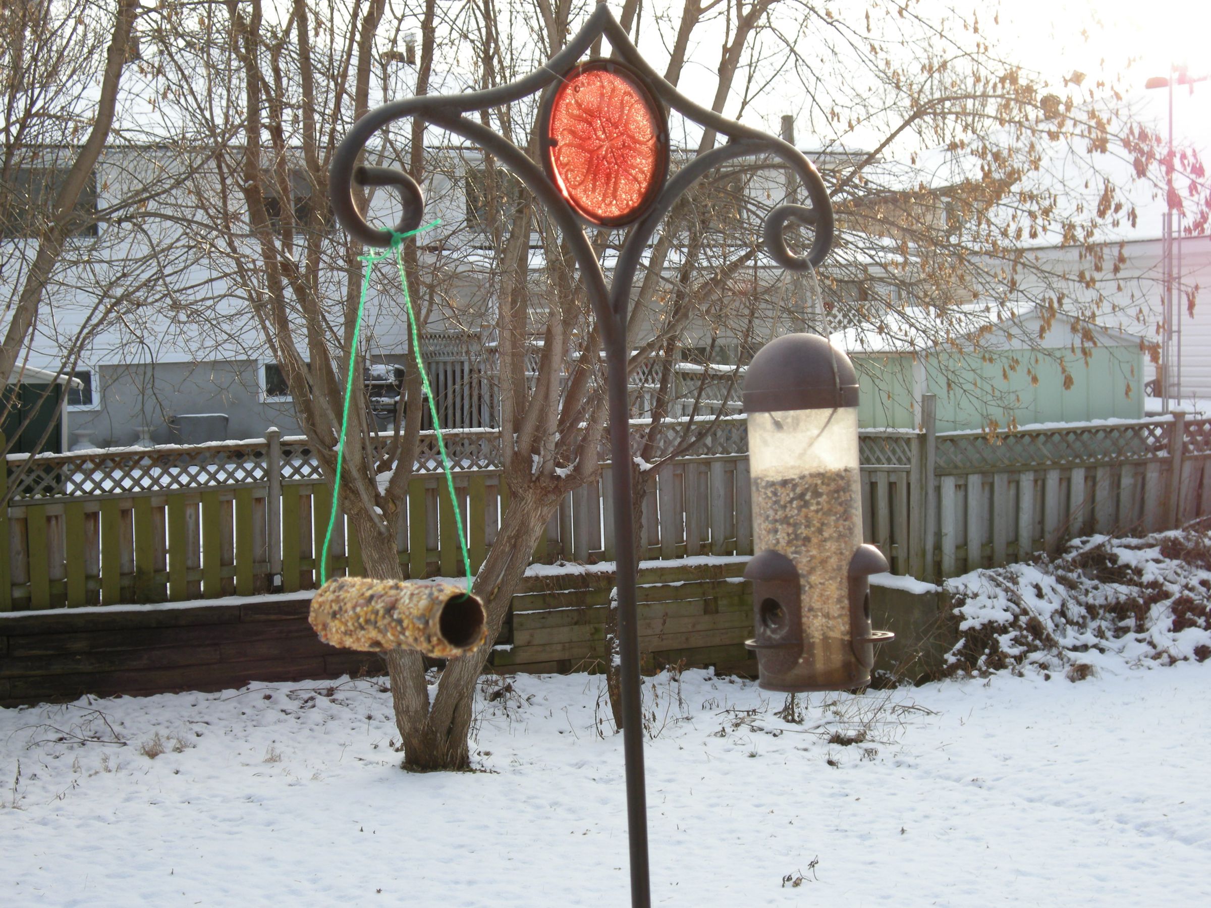 Peanut Butter Bird Feeder 3 Steps (with Pictures) Instructables