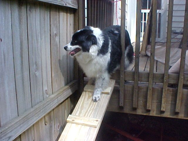 deck ramp for dogs
