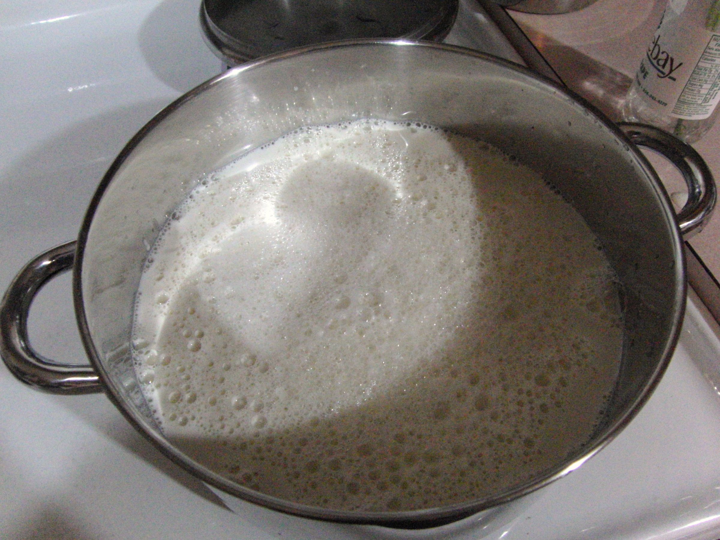 How to Make Homemade Soy Milk 6 Steps (with Pictures) Instructables