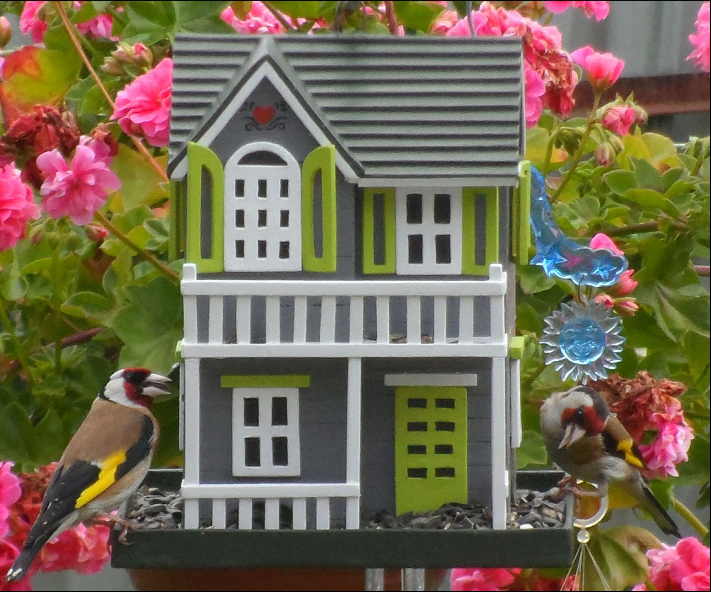 Wooden Bird Feeder