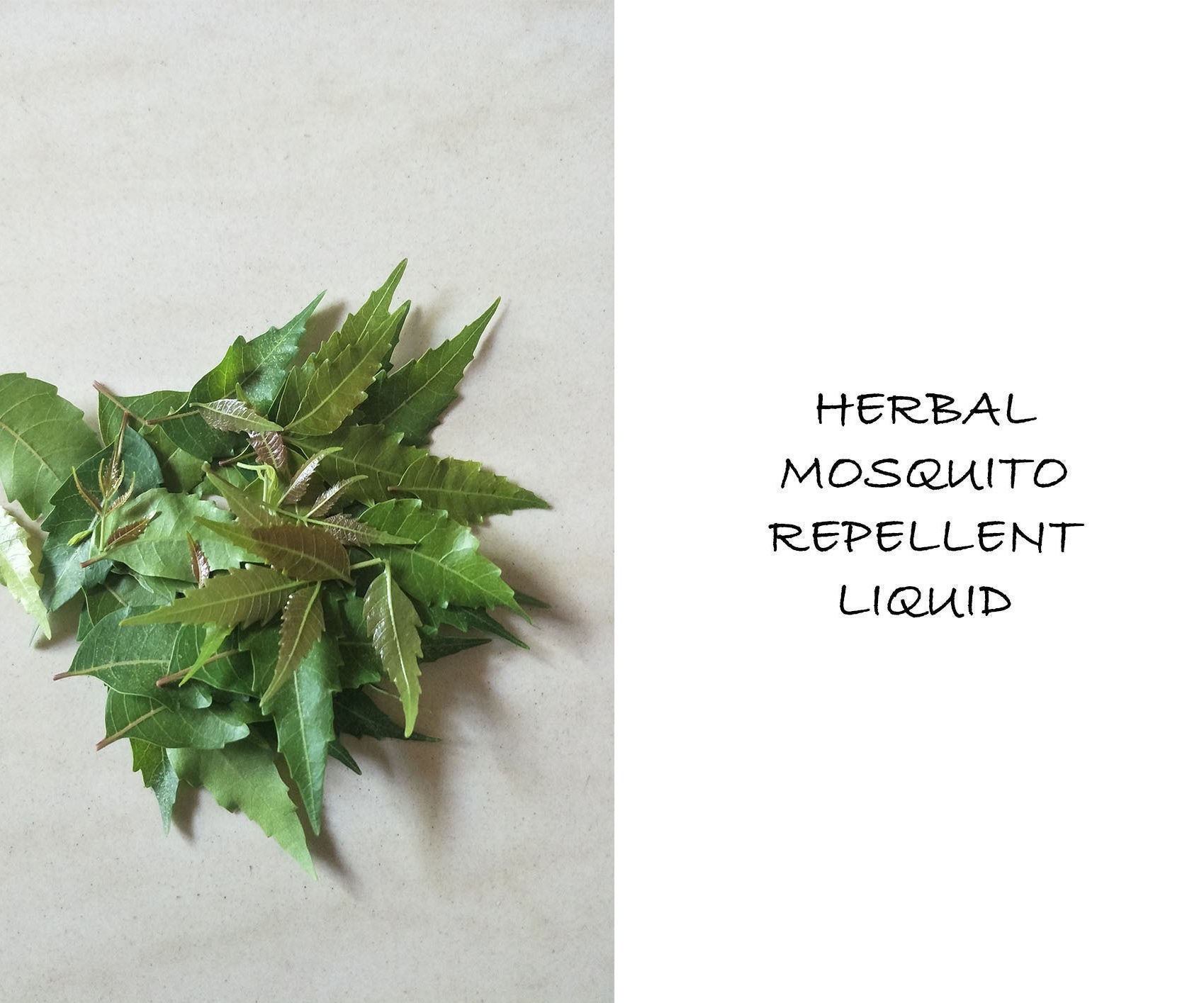 Herbal Mosquito Repellent Liquid 4 Steps Instructables