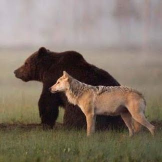 debspiritoftheart1953