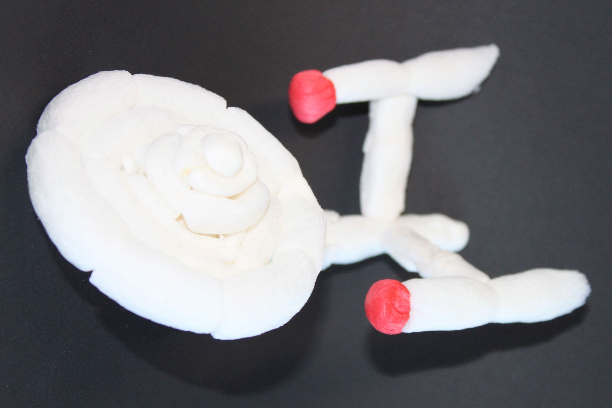 biodegradable uss enterprise DIY Project DIY Project Image