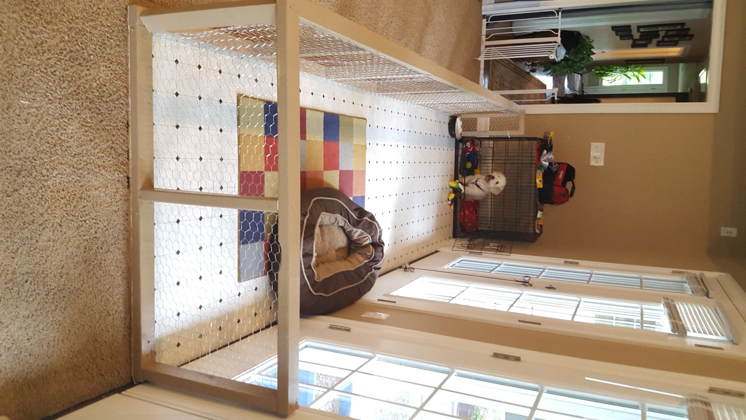 diy indoor dog pen