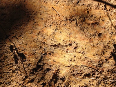 Colhendo sua própria argila, suja, mas deliciosa!