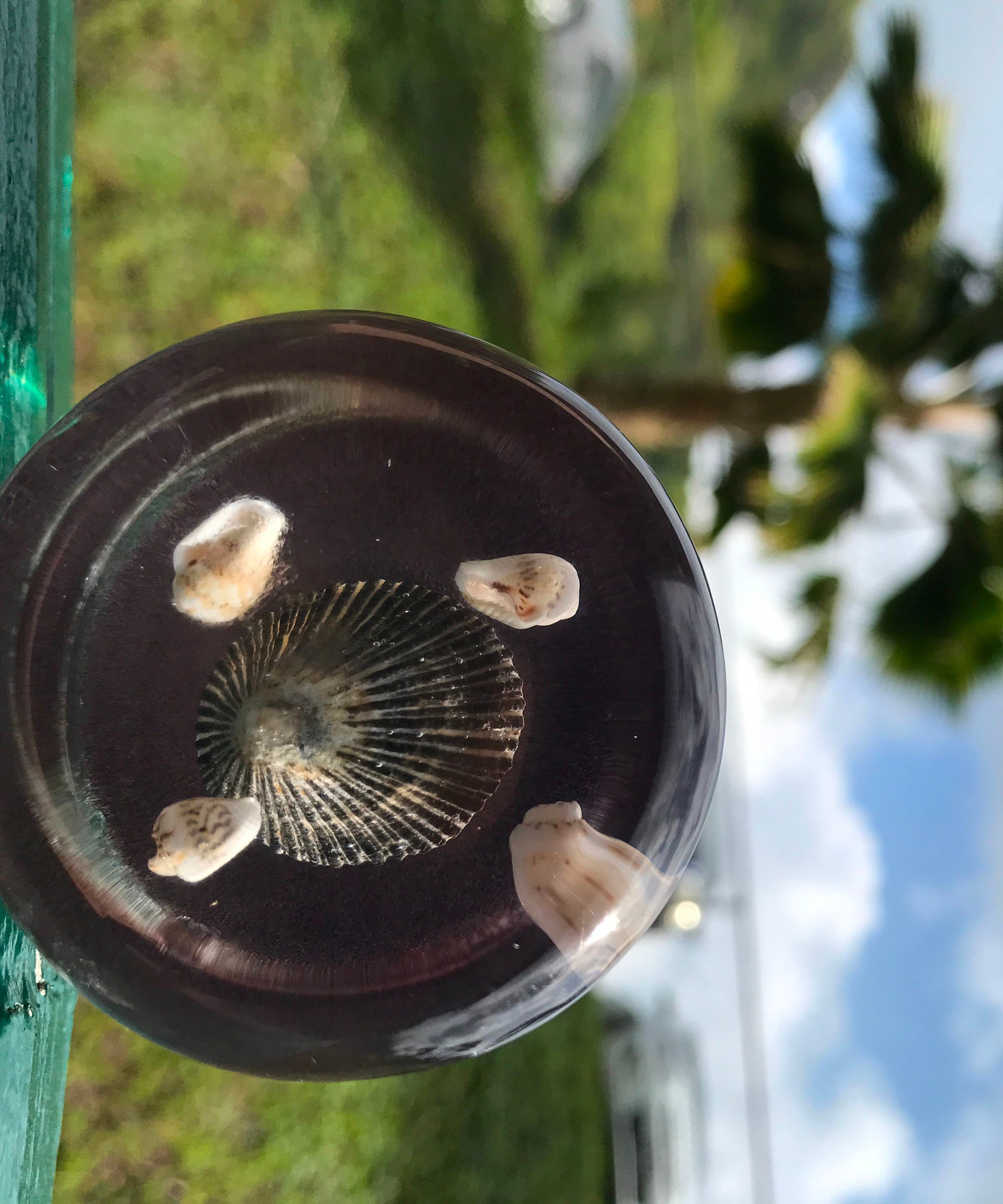 Resin Paper Weights 12 Steps (with Pictures) Instructables