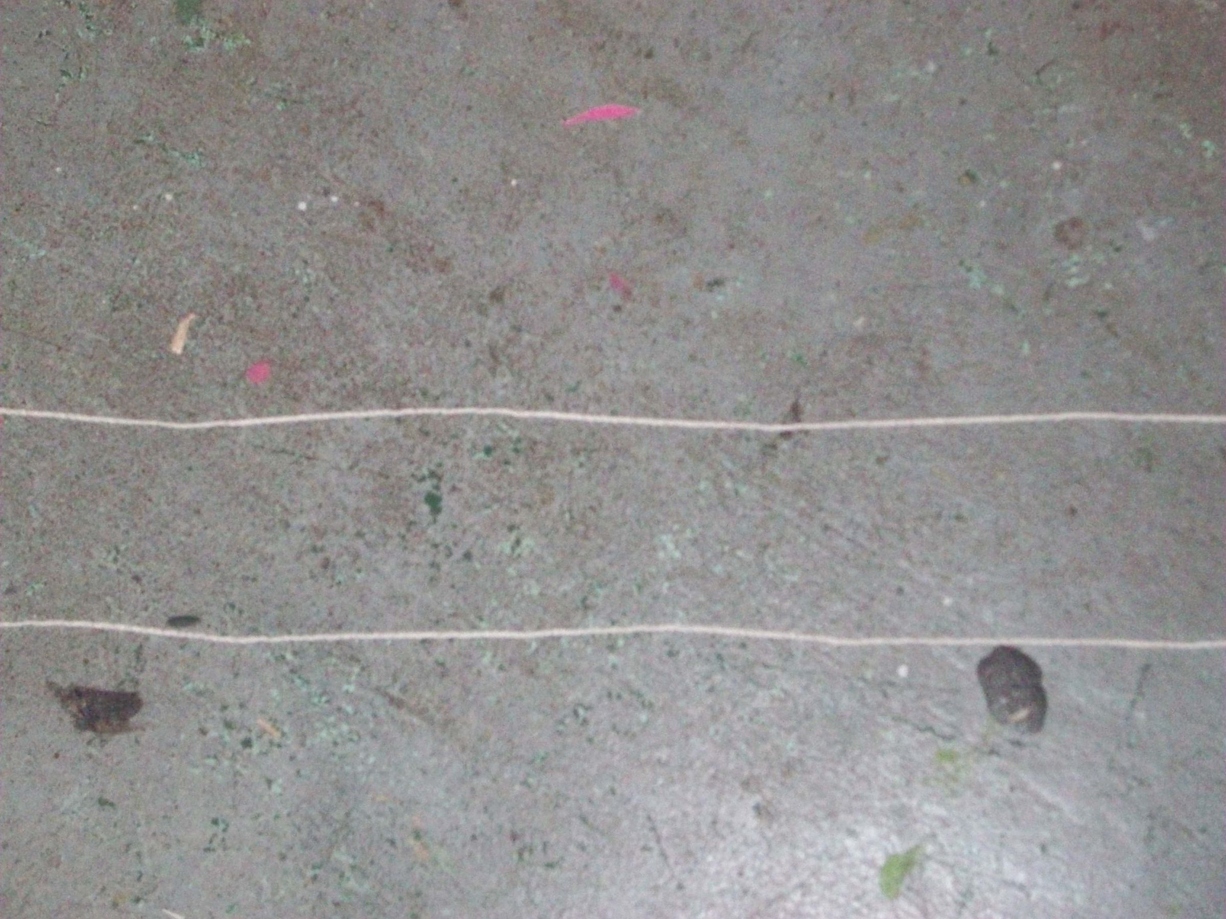 How to Make a Longbow String 8 Steps Instructables