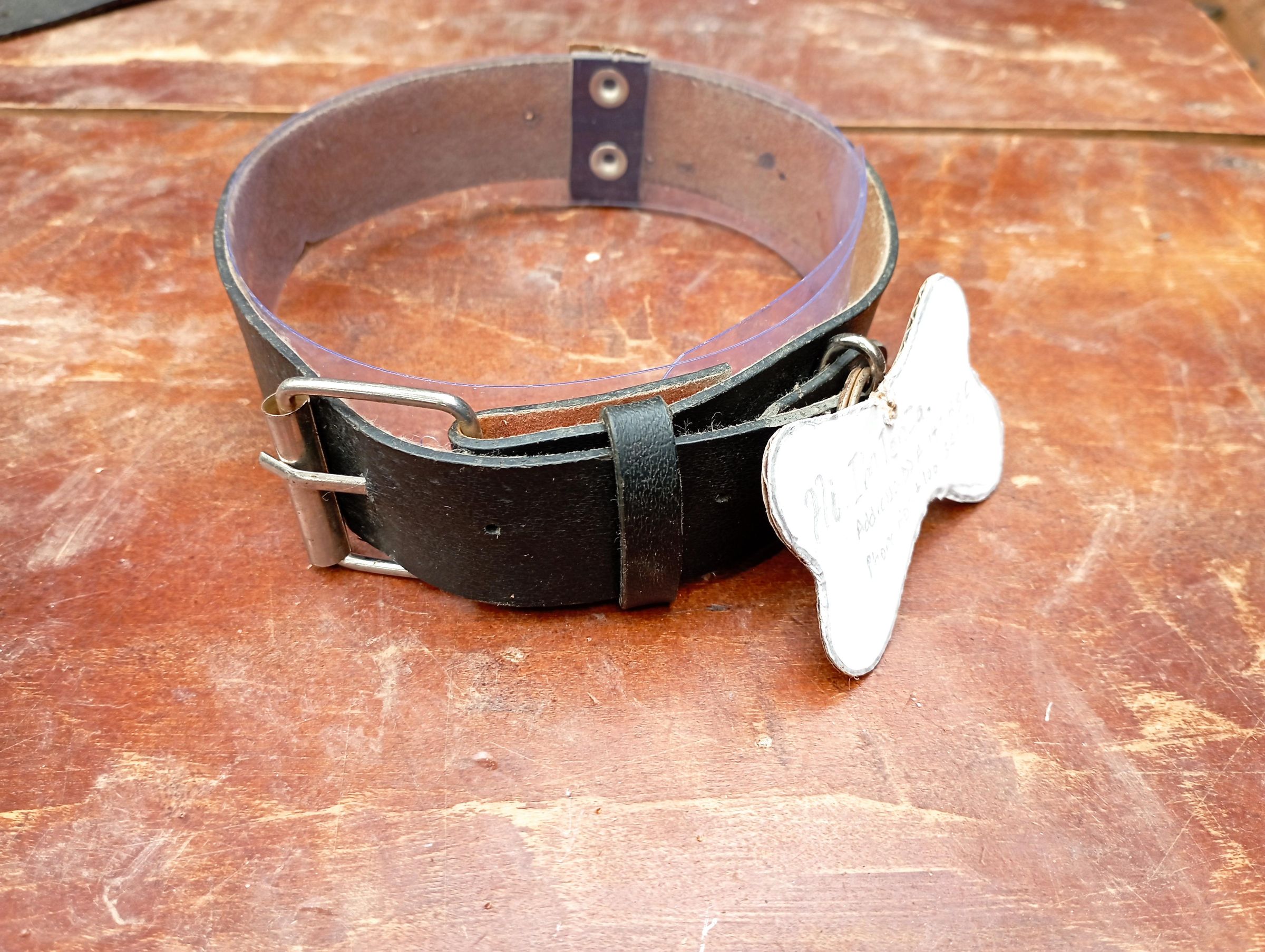 DIY Pet Collar Homemade Leather Pet Collar From Old Belts. 8 Steps