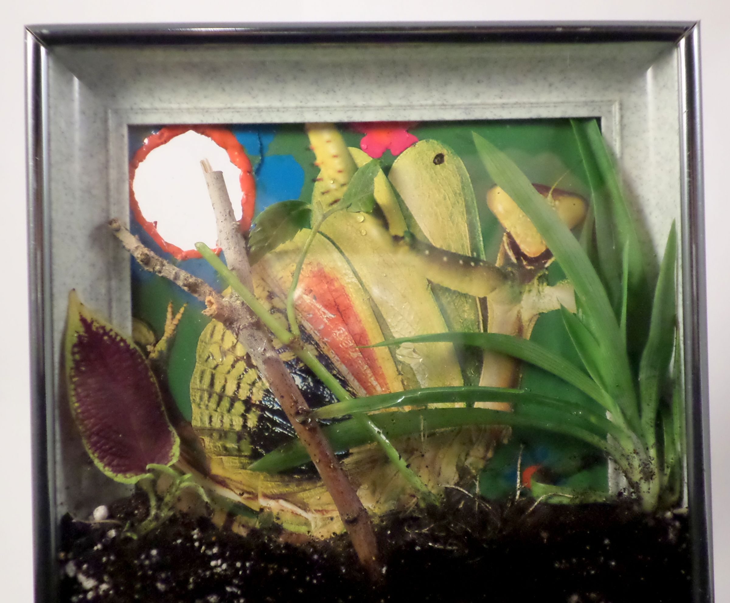 Picture Frame Terrarium 13 Steps (with Pictures) Instructables