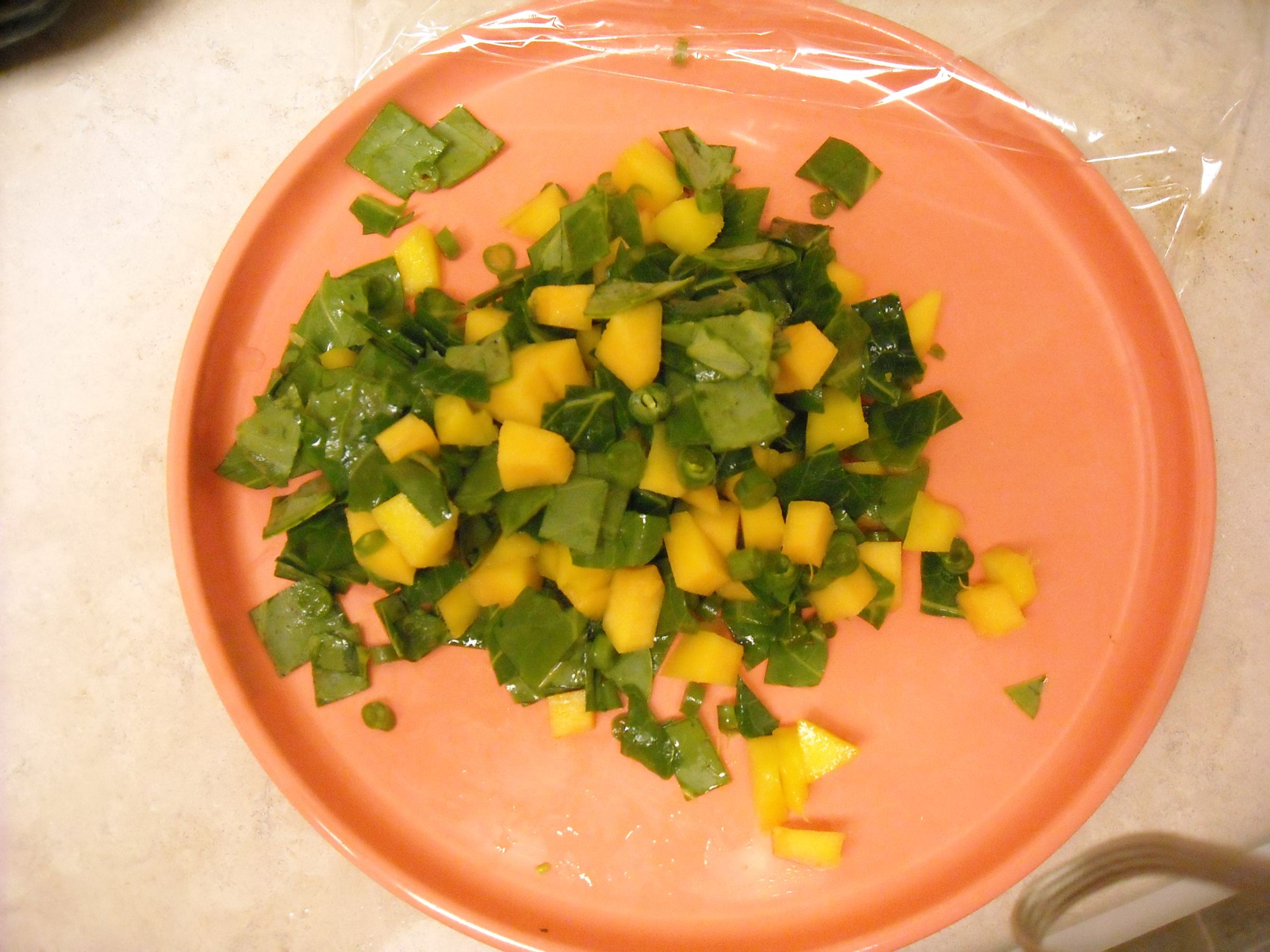 Basic Care Instructions for the Green Iguana 6 Steps Instructables