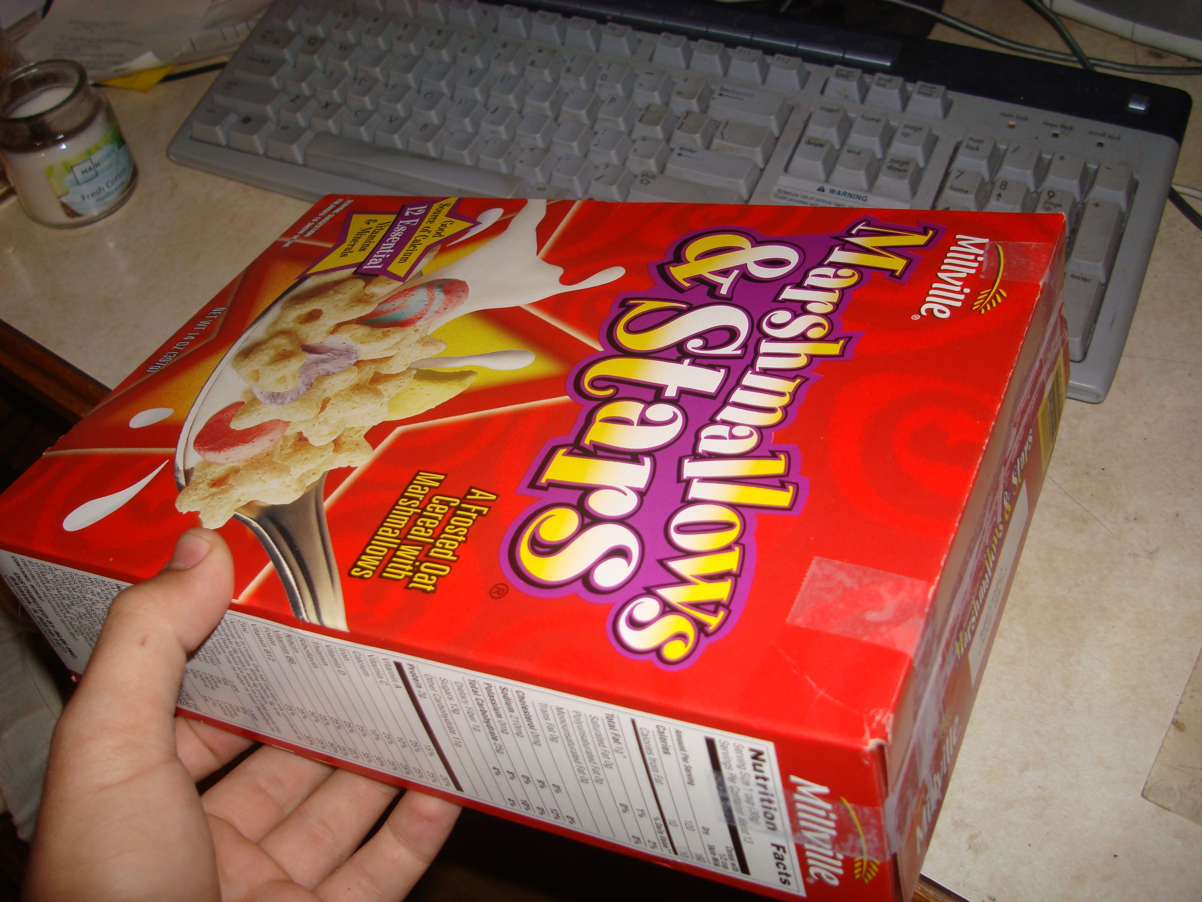 makeshift litter box