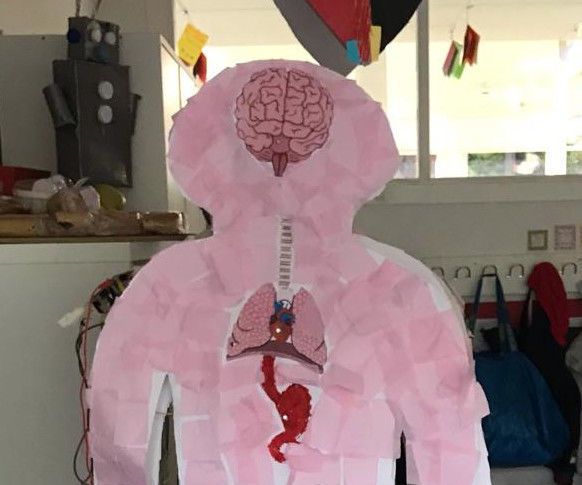 Step-by-step guide for el cuerpo humano. aprendizaje interactivo DIY Project DIY project