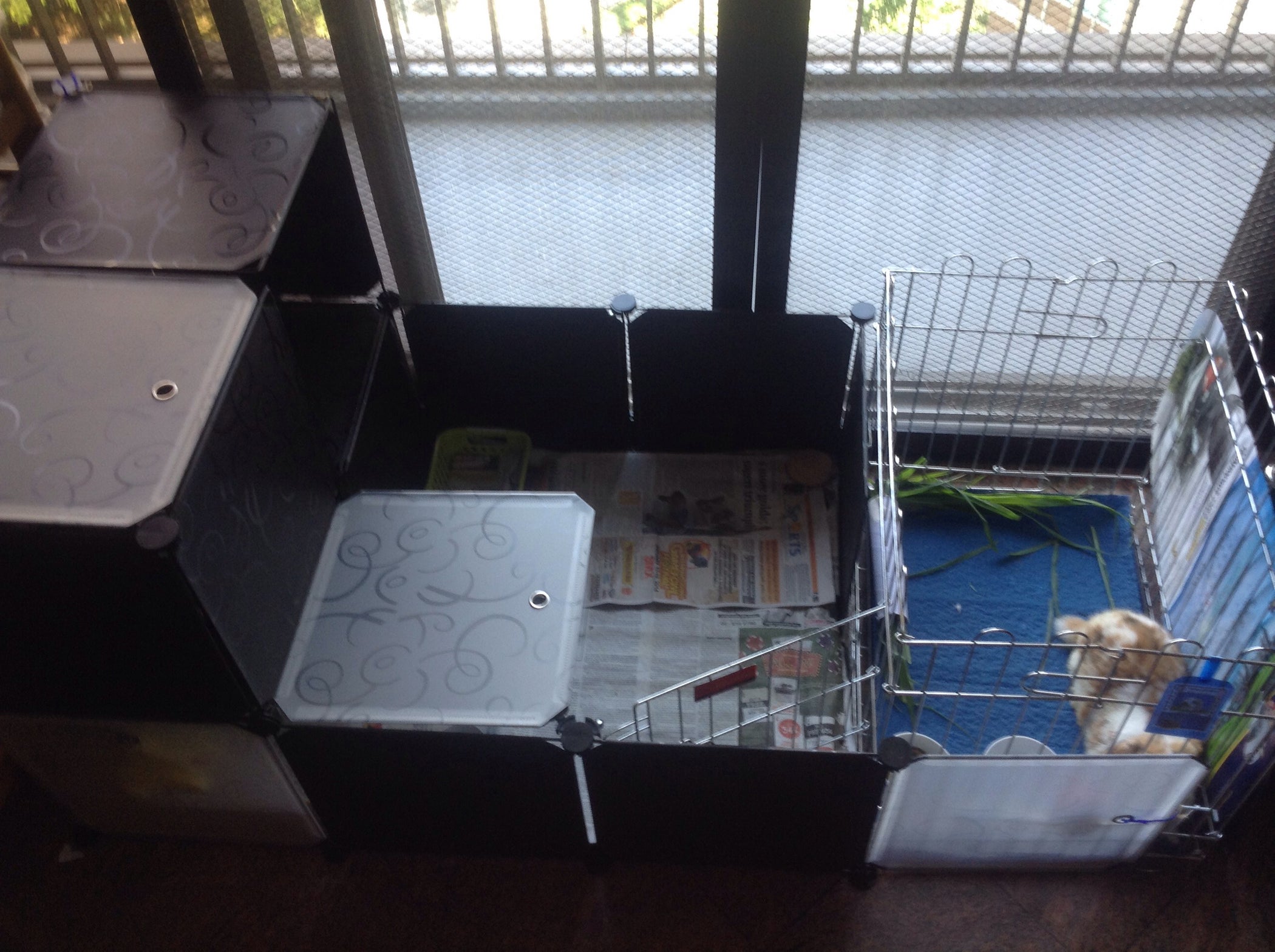 A New Type of Rabbit Cage Design Using Storage Cubes. 7 Steps