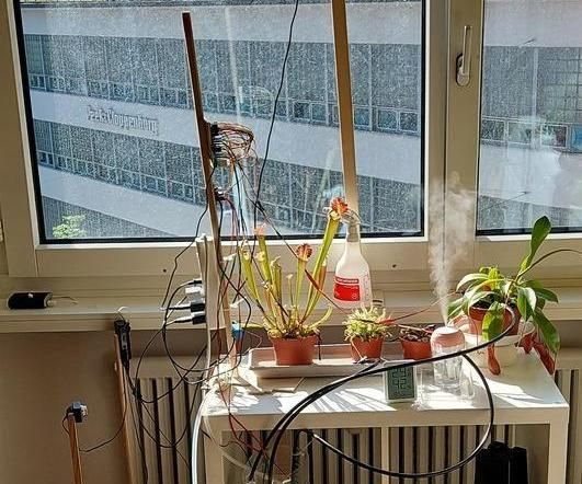 My First Watering System