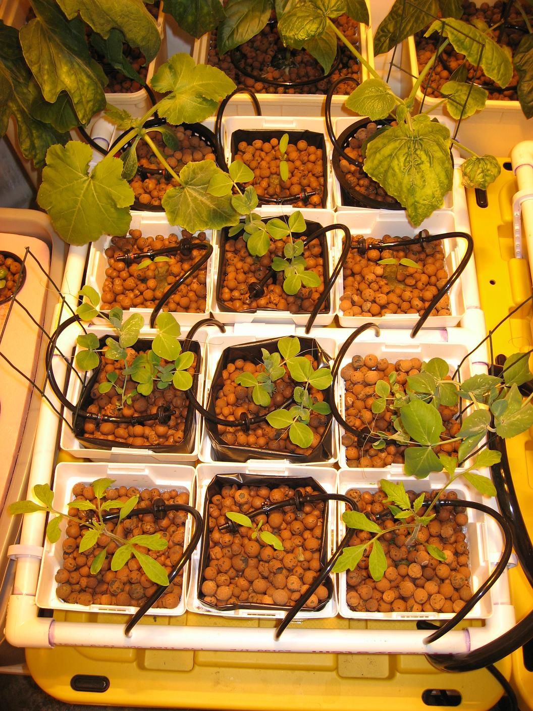Hydroponic Drip Garden for Vegetables, Herbs or Flowers 16 Steps