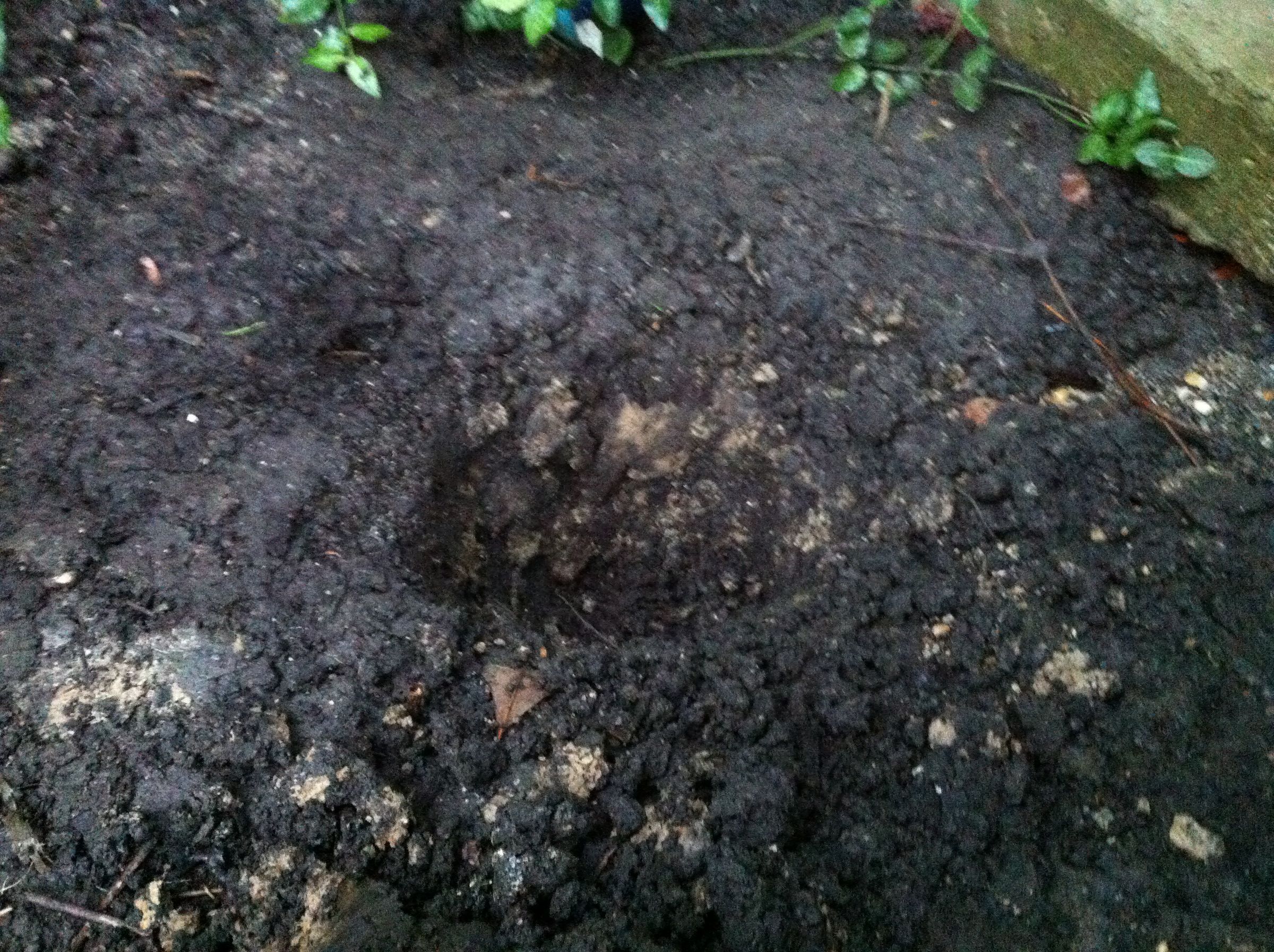 A Survival Water Filter : 5 Steps (with Pictures) - Instructables