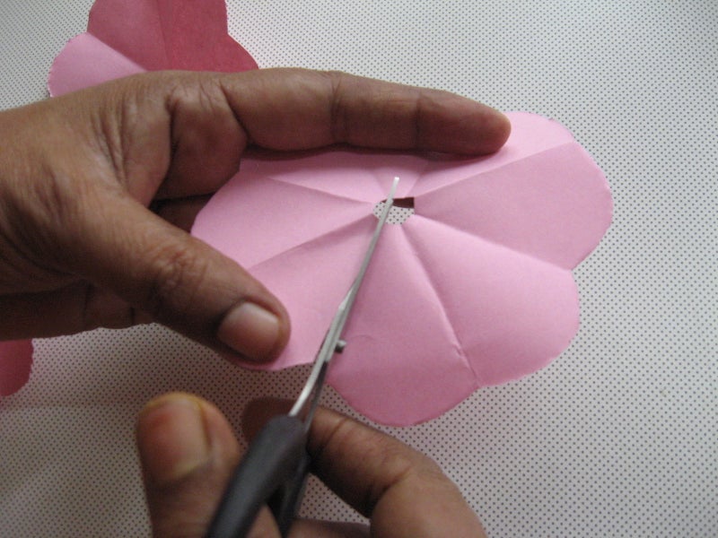 Cut Segments