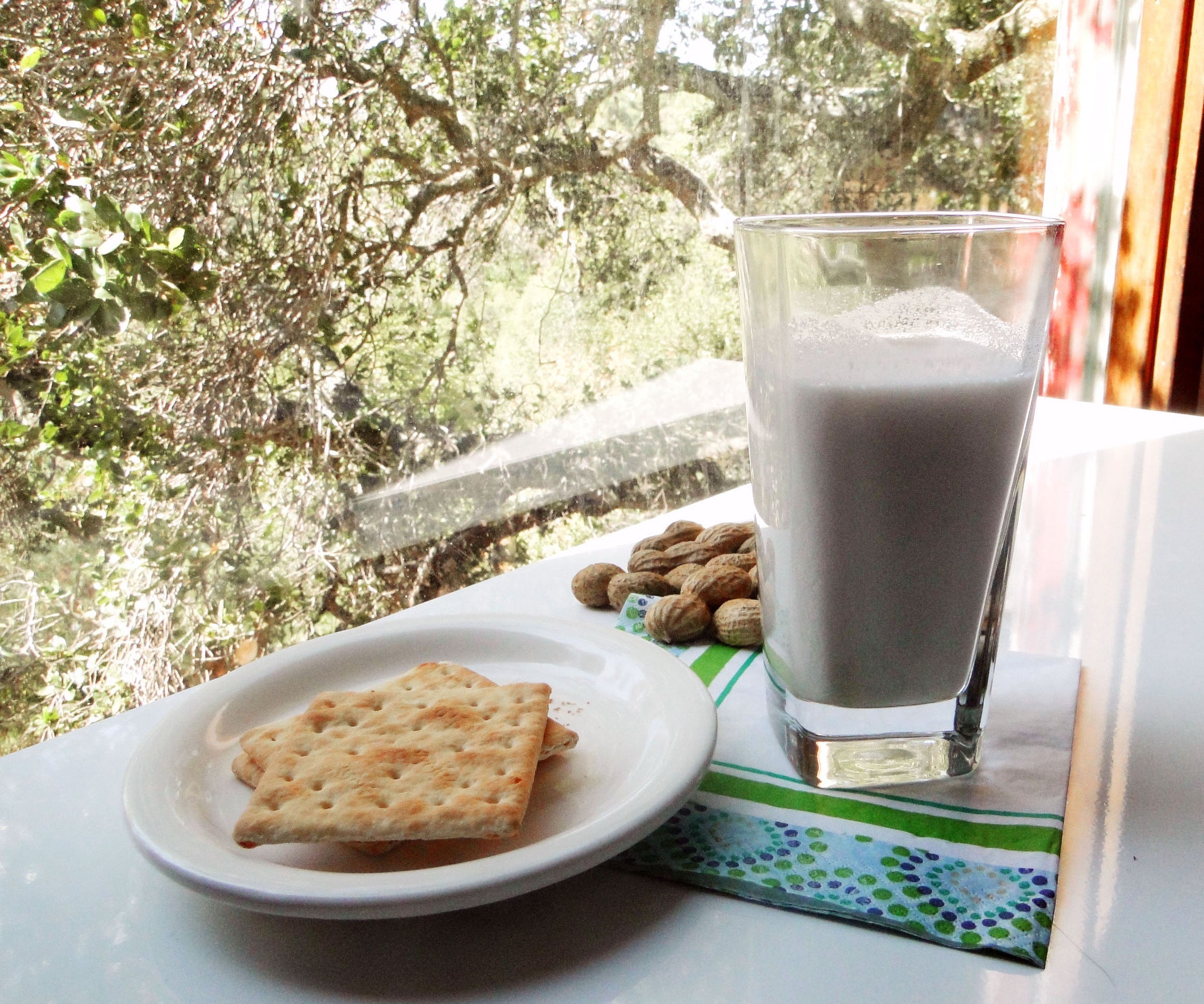 Peanut Milk Nutrient Drink for Whole Family. Instructables