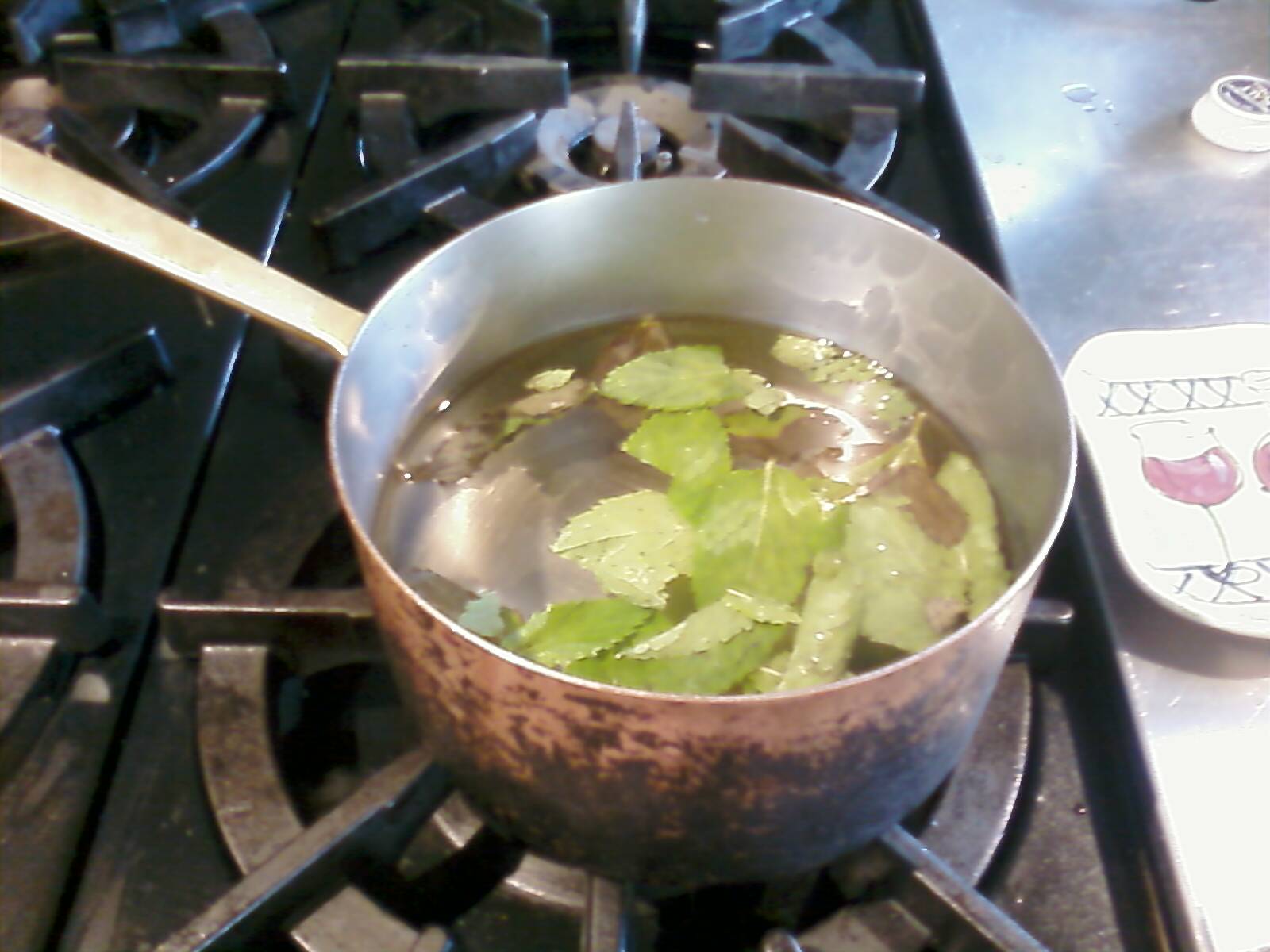 How to Make the Perfect Mojito! 5 Steps (with Pictures) Instructables