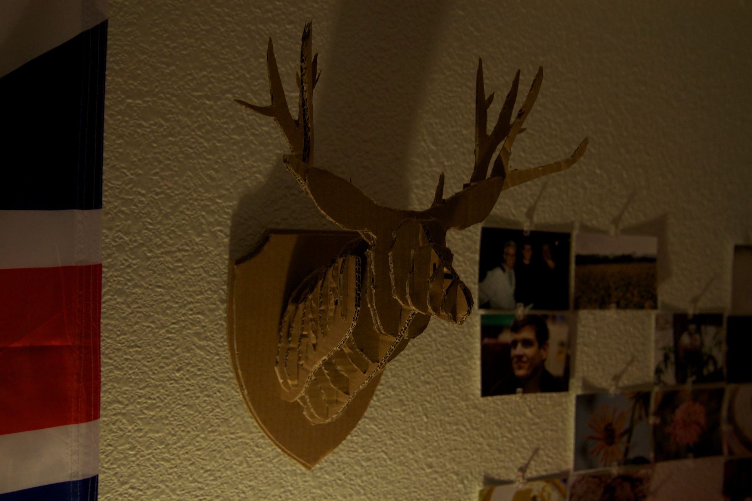 DIY Cardboard Deer Head 5 Steps (with Pictures) Instructables