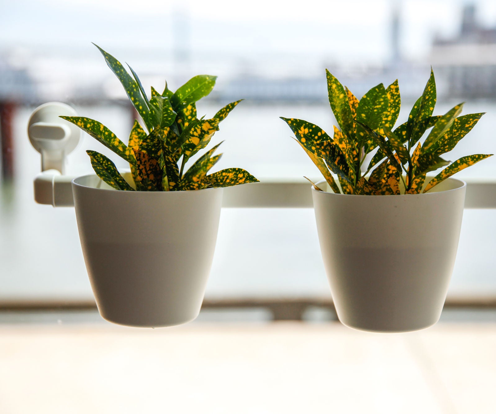 IKEA HACK Suction Cup Window Planters (with Pictures) Instructables