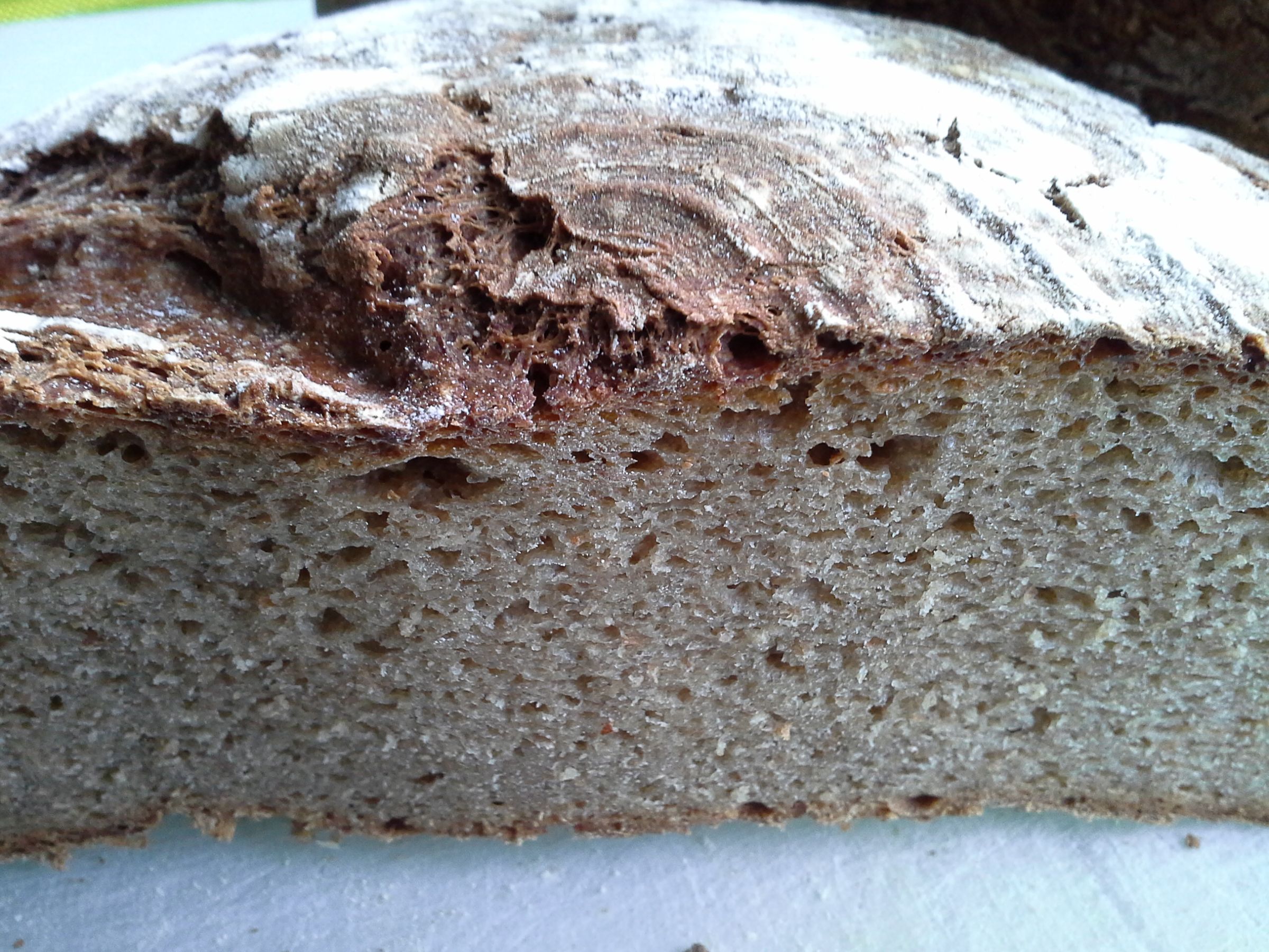 Pure Rye Bread 31 Steps (with Pictures) Instructables