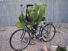 Camping: on a Bike & Low Budget!