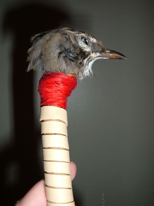 How to Preserve Bird Wings, Legs, and Heads...the Native Way! 6 Steps