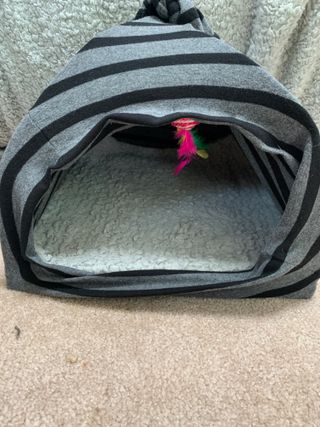 DIY Cat Tent
