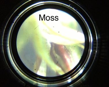 3D Printable Microscope for Home or Lab : 7 Steps (with Pictures ...