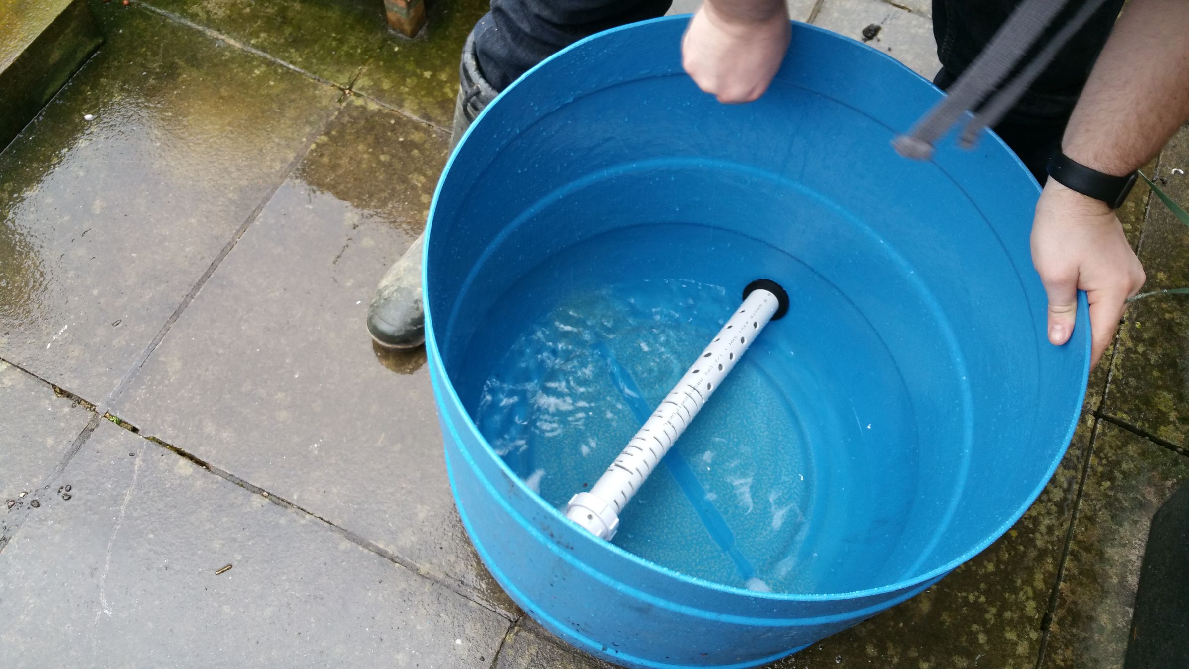 Fruit Trees in Aquaponics Using Dutch Buckets 6 Steps (with Pictures