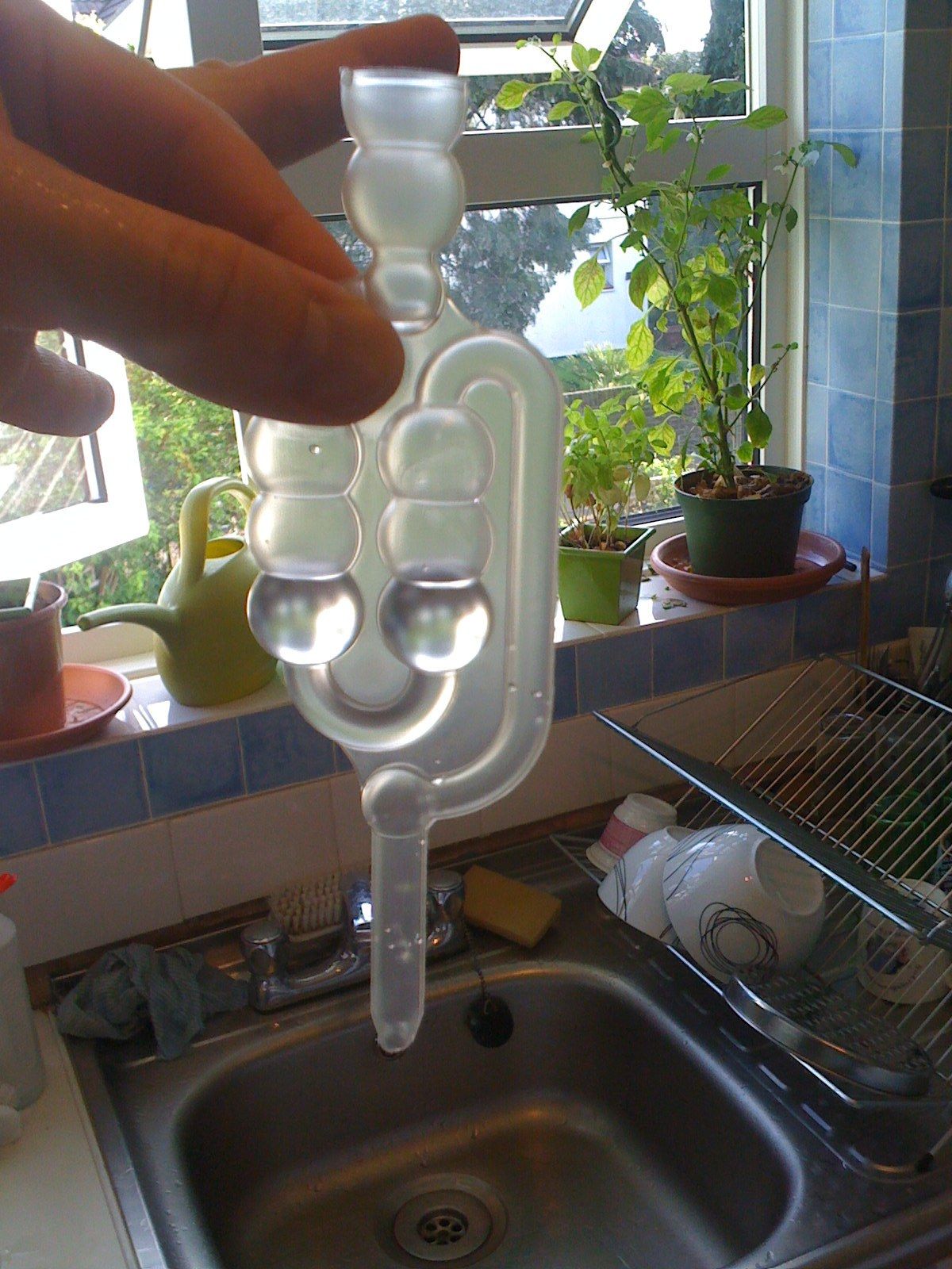 The REAL Ginger Beer Recipe! 10 Steps (with Pictures) Instructables