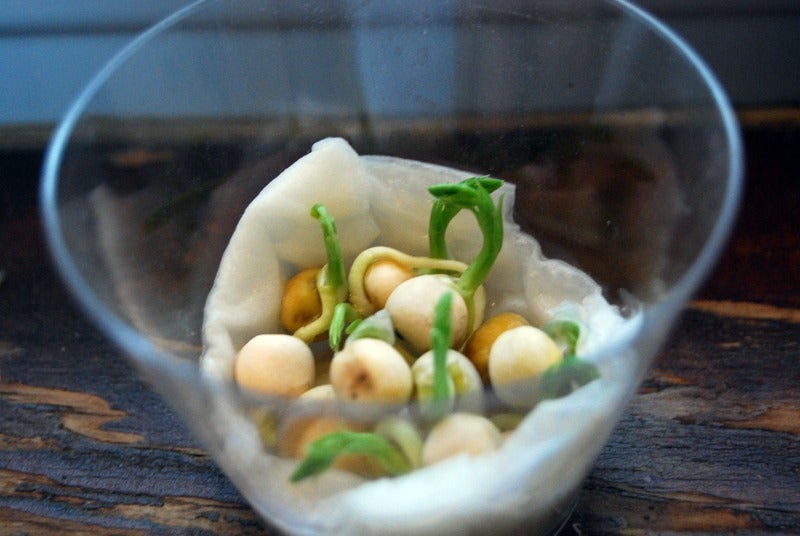 Bucket of Beans Instructables