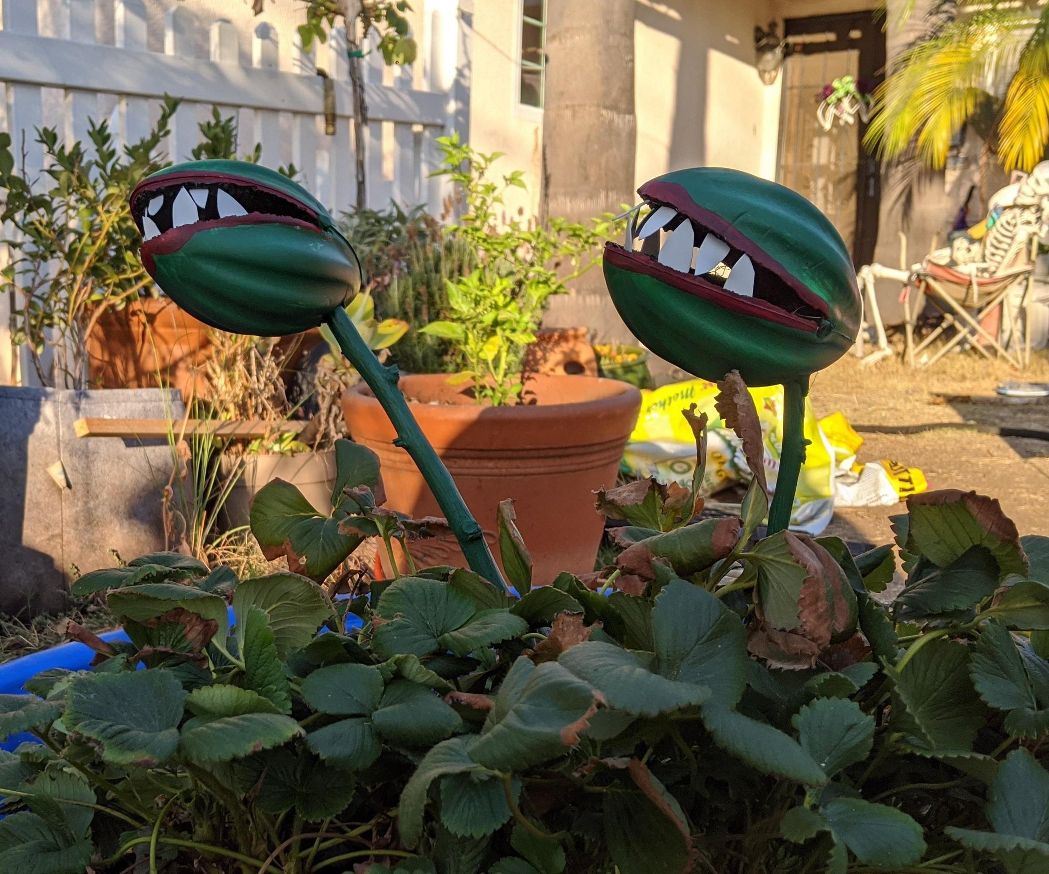 Let's Make Some Killer Plants! 10 Steps (with Pictures) Instructables