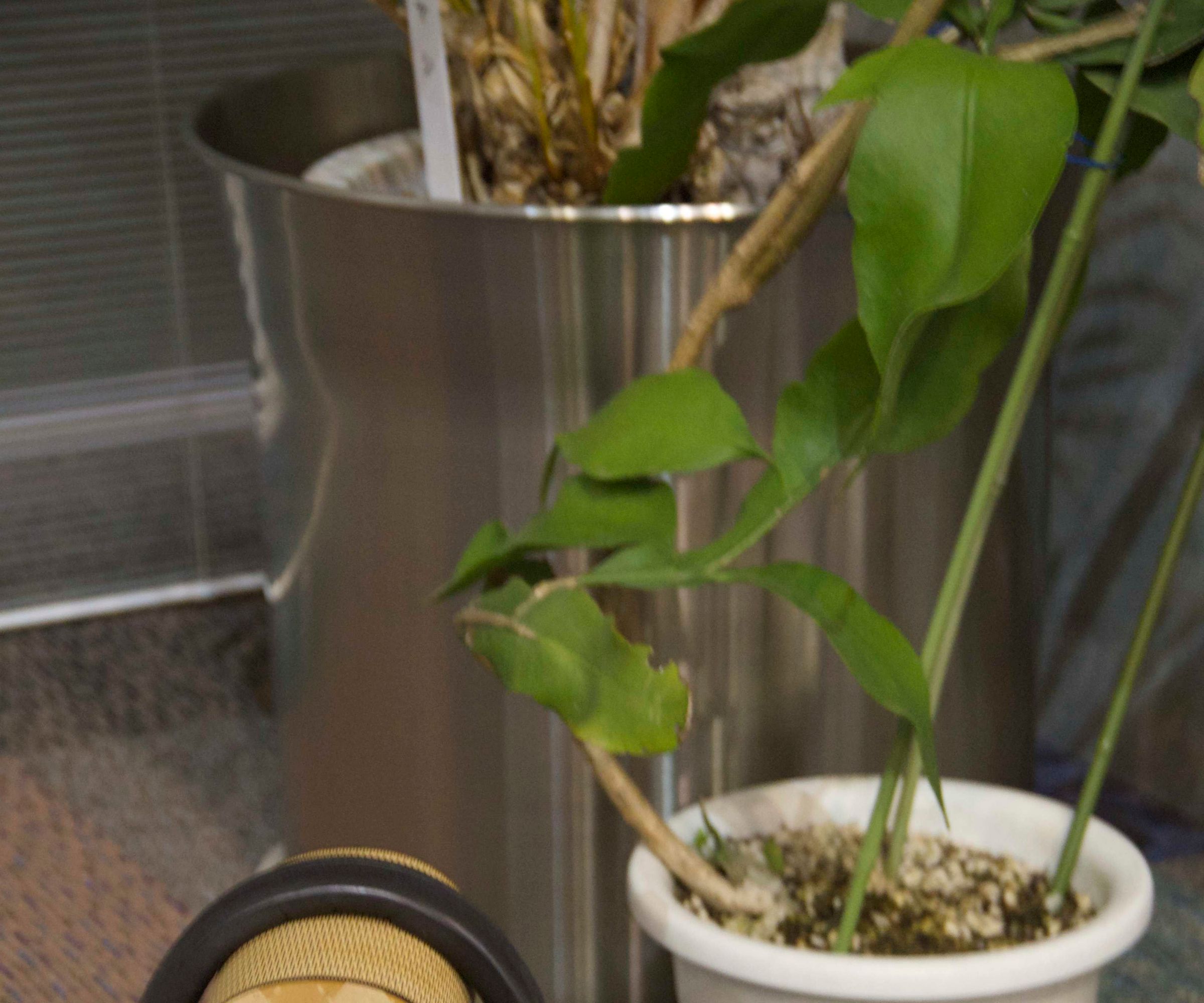 いたわりヘッドホンスタンド DIY Project DIY Project Image