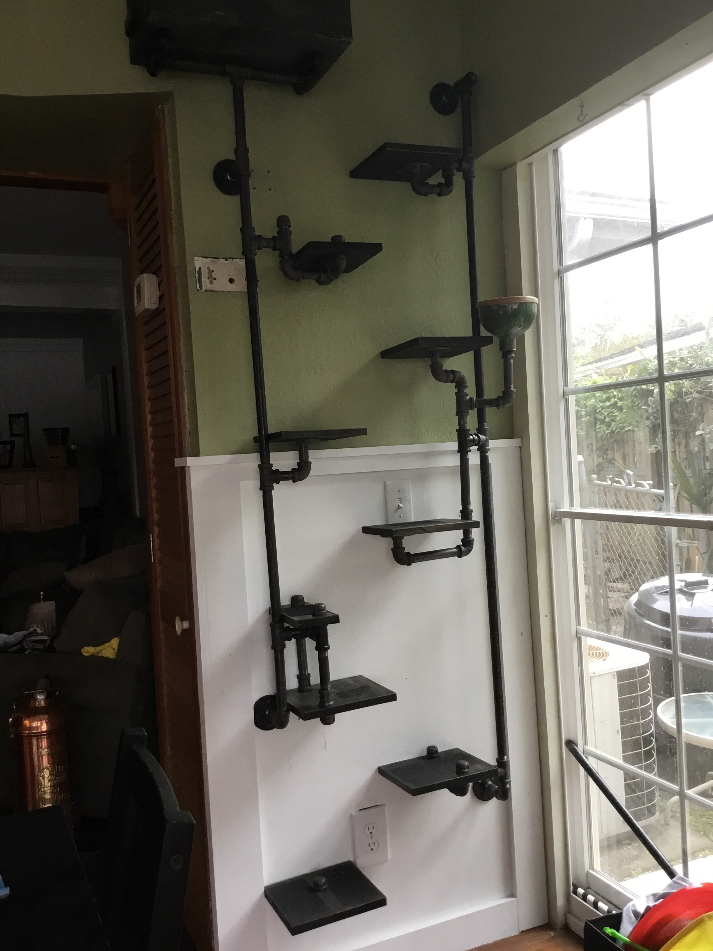 cat wall steps