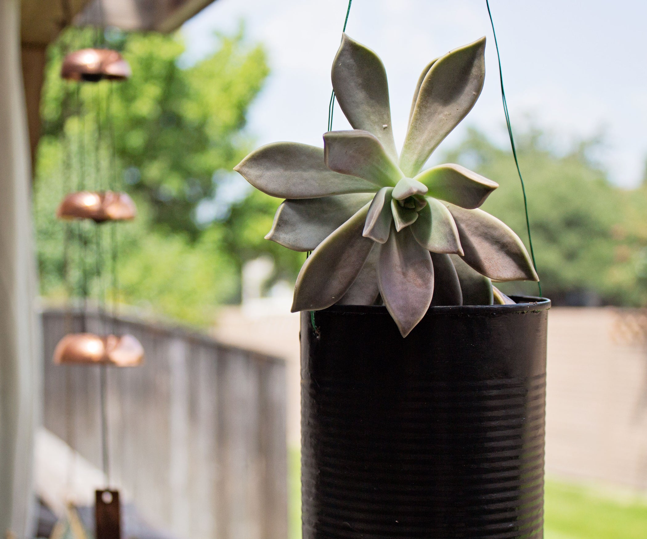 Tin Can Planter 6 Steps (with Pictures) Instructables