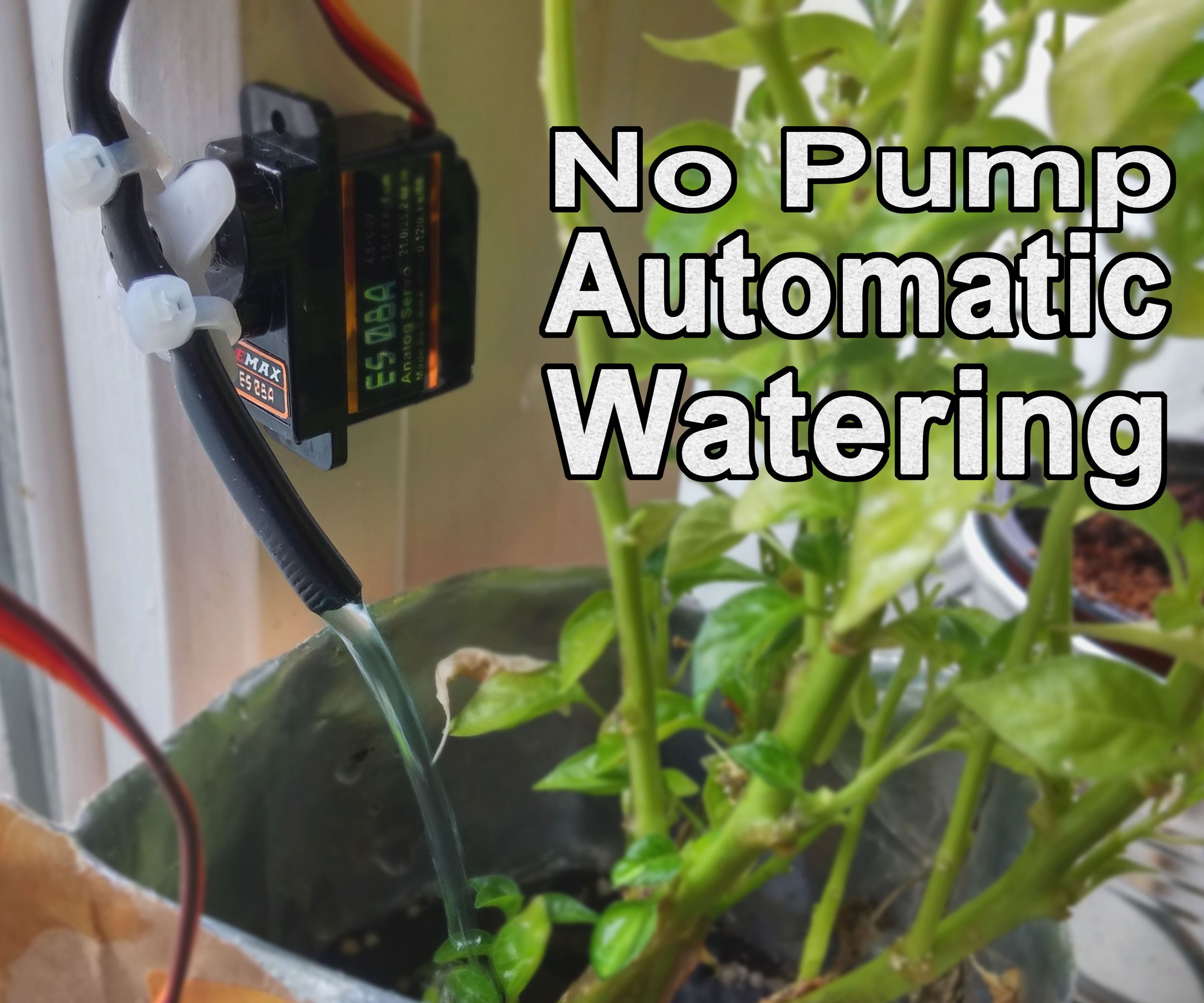 No Pump Automatic Watering! : 7 Steps 