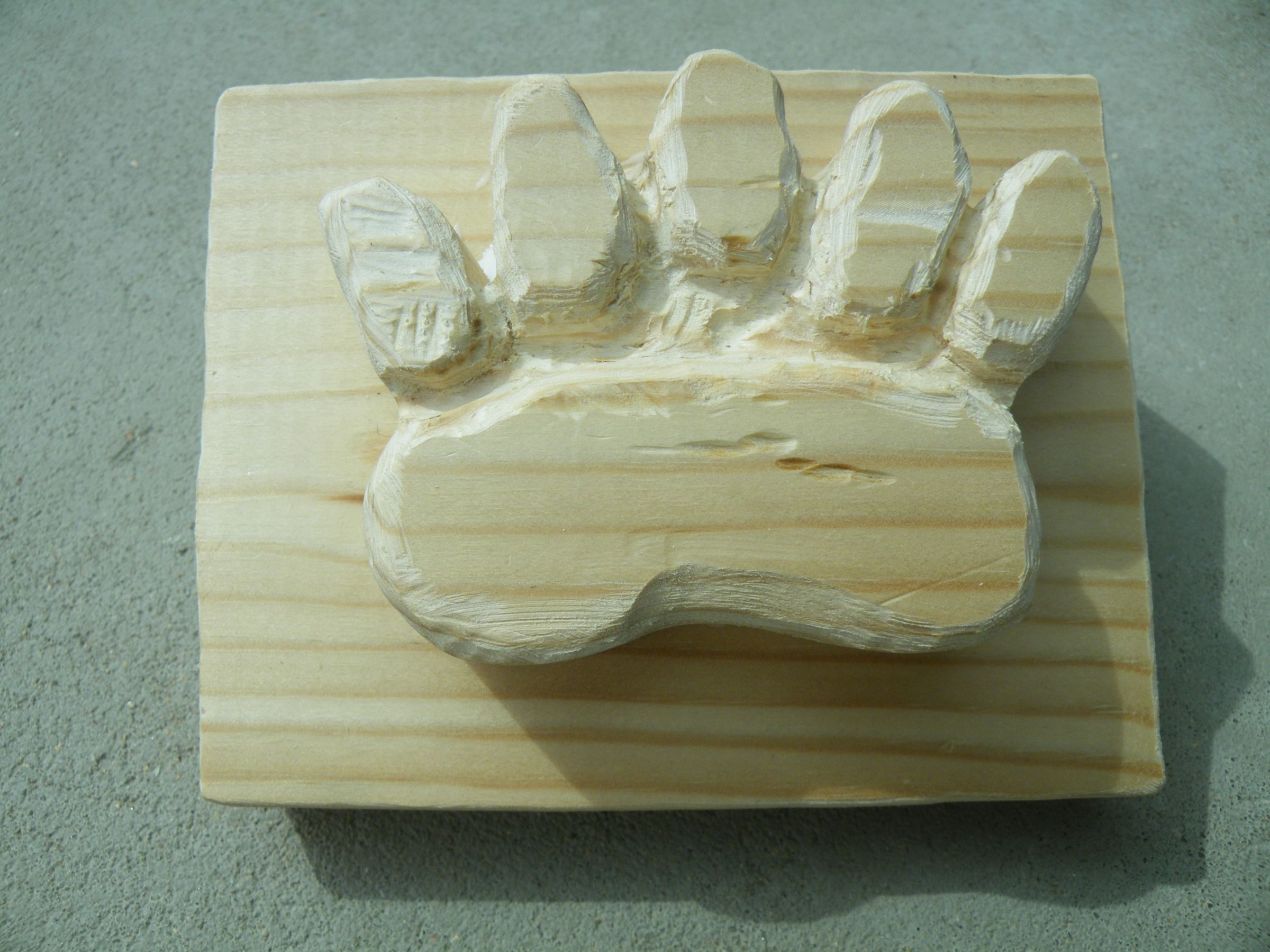 Animal Tracks for Plaster Casting. 5 Steps (with Pictures) Instructables