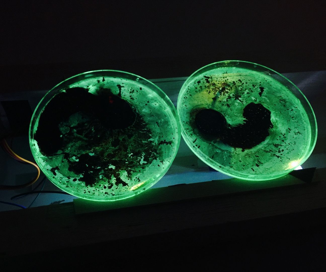 Step-by-step guide for formless beings of light DIY Project DIY project
